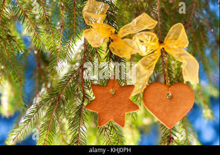 Le gingembre coeur et étoile suspendue sur une branche de sapin dans la forêt Banque D'Images