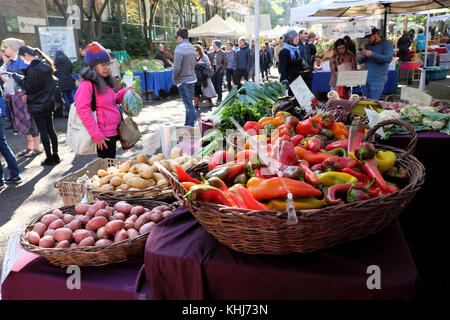 Portland Farmers Market à l'automne (automne) à la Portland State University Campus le SW sentier pour piétons à Portland, Oregon, USA KATHY DEWITT Banque D'Images