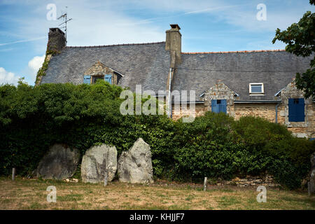 Pierres debout sur l'Ile aux Moines dans le Golfe du Morbihan Bretagne France. Banque D'Images