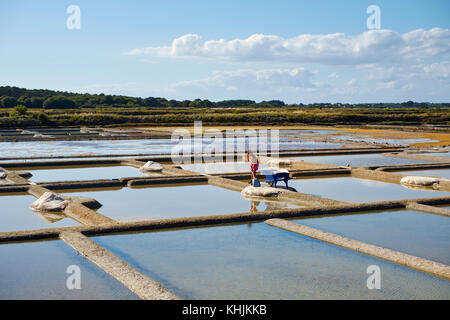 Le paysage estival de la sel de Guérande près de Le Croisic en Loire - Atlantique Région de Bretagne en France. Banque D'Images