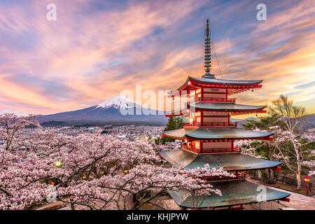 Fujiyoshida, Japon à Chureito Pagoda et Mt. Fuji au printemps avec les cerisiers en fleurs. Banque D'Images