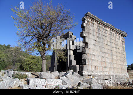 Arbre et mur de temple à l'adada, Turquie Banque D'Images