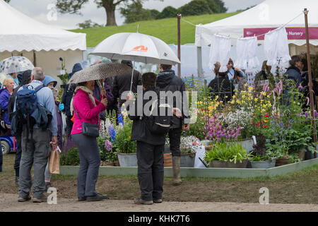 Les gens regarde autour de affiche de l'exposition et acheter des plantes dans la pluie - Village de l'usine de Chatsworth House, RHS Flower Show showground, Derbyshire, Angleterre, Royaume-Uni. Banque D'Images