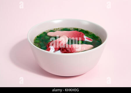 Les doigts d'un bouillon de viande avec des oignons verts flottant à la surface de la soupe dans un bol rose. couleur du dégradé. minimal et décalé la photographie. Banque D'Images