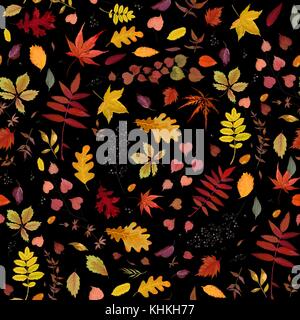 Motif floral seamless vector automne aquarelle style design : orange, jaune, rouge-brun automne rowan Oak tree feuilles & baies. wallpaper belle, cu Illustration de Vecteur