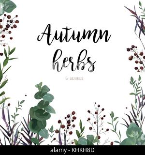 Carte de style aquarelle floral vector design : eucalyptus ensemencé verdure, agonis Direction générale des feuilles de thym, mauve, red berry cadre naturel, vecteur de la frontière. Illustration de Vecteur