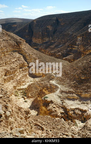 Sentier et vardit canyon au désert du Néguev, Israël Banque D'Images