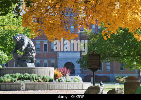 Un coup d'oeil à l'Université de Montana's ovale sous une voûte d'arbres d'automne Banque D'Images