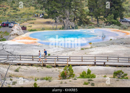 Regarder les touristes au printemps prochain à la liberté tumulus dans la région de Mammoth Hot Springs, le parc de Yellowstone. Banque D'Images