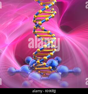 Illustration conceptuelle d'un ADN (acide désoxyribonucléique) molécule d'être endommagé par une molécule de benzène. Le benzène est un cancérogène humain largement reconnu (molécules pas représenté à l'échelle). L'ADN est composée de deux brins tordus en une double hélice. Chaque brin est constitué d'une arête de phosphates de sucre attaché à des bases nucléotidiques. Il y a quatre bases : l'adénine, la cytosine, la guanine et la thymine. Les bases sont jointes ensemble par des liaisons hydrogène. Contient des sections de l'ADN appelées gènes qui codent l'information génétique de l'organisme. Banque D'Images