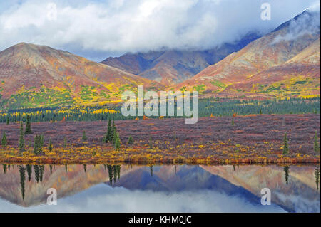 Paysage d'automne, la toundra et la taïga, le lac avec réflexion, Denali National Park, Alaska, USA Banque D'Images