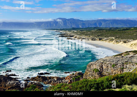 Bay avec de longues plages de sable, plage de plaat, Walker Bay, réserve naturelle de kelders, Italie, Western Cape, Afrique du Sud Banque D'Images