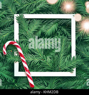 Arrière-plan de création de branche de pin blanc avec cadre. Nouvel an et joyeux noël concept. Télévision. Banque D'Images