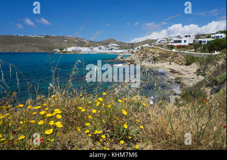 Côte paysage à Platis Gialos, au sud de l'île, l'île de Mykonos, Cyclades, Mer Égée, Grèce Banque D'Images