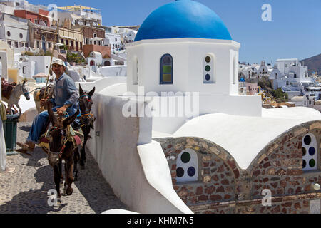 L'homme local avec les ânes au bord du cratère, Oia, Santorin, Cyclades, l'île de la mer Égée, Grèce Banque D'Images