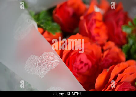 Roses rouges signifiant l'amour dans les relations en particulier le Jour de Valentines. Banque D'Images