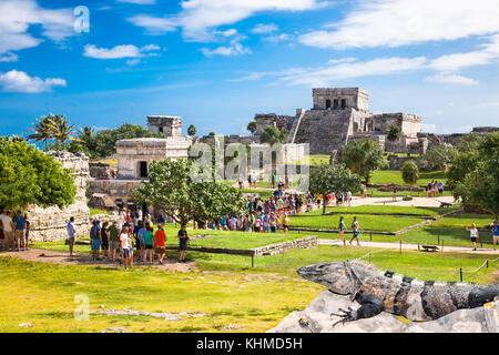 Tulum, Mexique - novembre 26. 2015:la foule des iguanes en regardant les touristes qui visitent tulim au Yucatan, Mexique le 26 novembre 2015 à plus de 1,2 millions. Banque D'Images