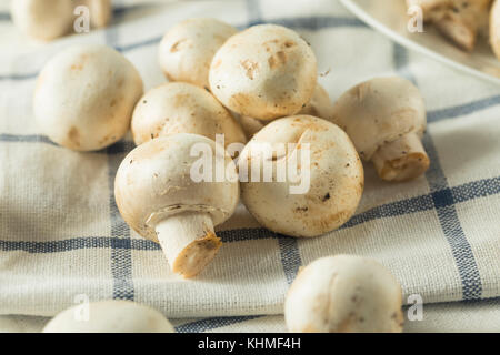 Matières organiques blanc champignons de bébé prêt à cuire Banque D'Images