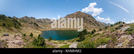 Vue panoramique sur le lac de haute montagne appelée 'Estany primer' près de Ordino avec quelques pins de montagne, Andorre, Tristaina Banque D'Images