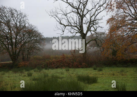 Black Torrington, UK. 19 Nov, 2017. Aube sur Black Torrington dans le Devon. Credit : Keith Larby/Alamy Live News Banque D'Images