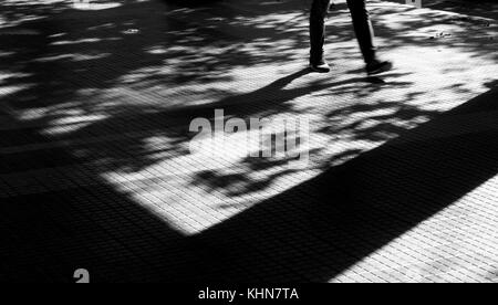 Ombres et silhouettes d'une personne qui marche dans le motion blur et arbres en automne sur le trottoir de la rue de la ville en noir et blanc Banque D'Images