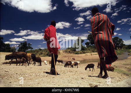 Guerriers Masai avec chèvres près de la rivière Talek., Masai Mara Game Reserve. Masais sont peut-être le plus célèbre de tous les tribus africaines, au Kenya Banque D'Images