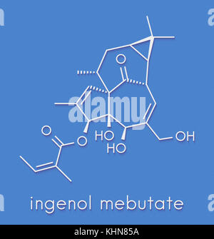 Ingenol mebutate (ingenol-3-angelate) Traitement de la kératose actinique molécule pharmaceutique. formule topologique. Banque D'Images