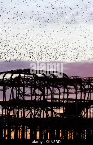 Brighton, UK. Murmurations Starling au coucher du soleil sur l'abandon de Brighton West Pier. Banque D'Images