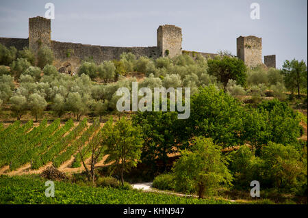 Vigne, oliviers et ville médiévale fortifiée à Monteriggioni, Toscane, Italie. 28 août 2017 © Wojciech Strozyk / Alamy Stock Photo Banque D'Images