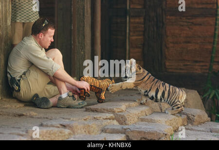 Un bébé tigre sauvé récemment joue avec les animaux en peluche au San Diego Zoo Safari park. La cub a réussi à en contrebande à la frontière Otay Mesa entre le Mexique et les États-Unis. Les douaniers américains a travaillé avec le parc safari pour trouver une maison pour la croissance rapide des cub. Comprend : tiger cub Où : San Diego, California, UNITED STATES Quand : 15 oct 2017 Crédit : Tony forte/wenn Banque D'Images