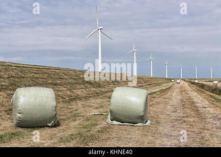 Bottes de foin emballées dans une pellicule de plastique avec la ferme éolienne Banque D'Images