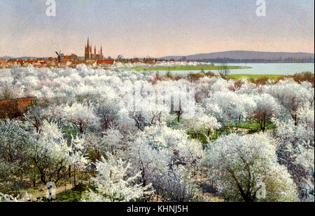 Vue sur la péninsule avec la vieille ville de Werder près de Berlin sur les arbres fruitiers en fleurs (Blick auf die Halbinsel mit der Altstadt Werder über blühende Obstbäume hinweg) Banque D'Images