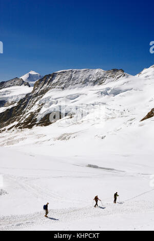 Grimpeurs à bord du glacier Jungfraufirn avec au-delà, le Kranzberg, Äbeni Flue et au loin l'Aletschhorn, Oberland bernois, Suisse Banque D'Images