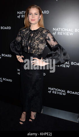 NEW YORK, NY - 04 janvier : l'Acteur Amy Adams assiste à la National Board of Review 2016 Gala au Cipriani 42nd Street le 4 janvier 2017 à New York City People : Amy Adams Banque D'Images