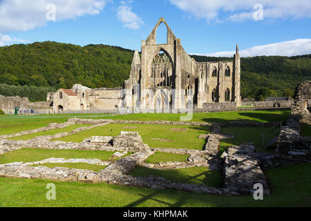 Abbaye de Tintern, Monmouthshire, Wales, Royaume-Uni. l'abbaye a été fondée en 1131. Banque D'Images
