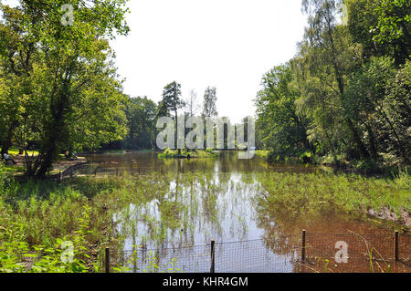 Lacs Hiltingbury et îles flottantes pour la faune sur Chandlers Ford, Eastleigh, Hampshire, Angleterre. Banque D'Images