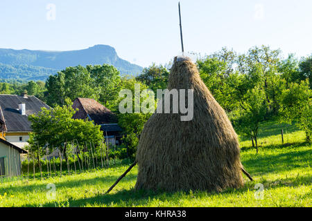 Cette scène est dans les Carpates dans comté de Maramures en Roumanie Banque D'Images