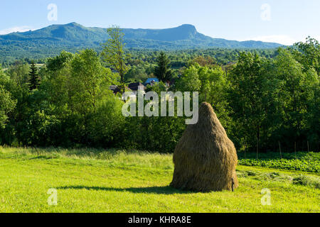 Cette scène est dans les Carpates dans comté de Maramures en Roumanie Banque D'Images