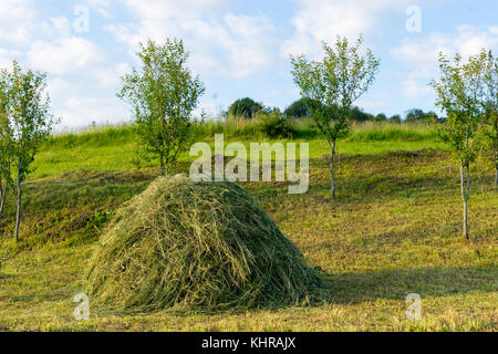 Cette scène est dans les Carpates dans comté de Maramures en Roumanie Banque D'Images