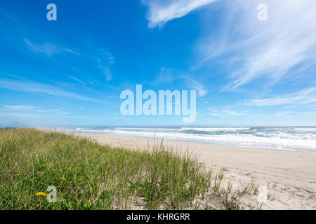 Plage de l'Atlantique dans la région de East Hampton, ny Banque D'Images