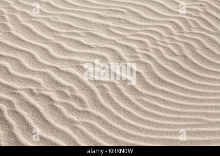 Le vent et le sable sur la surface d'une dune revelaved par une faible lumière du soir Banque D'Images