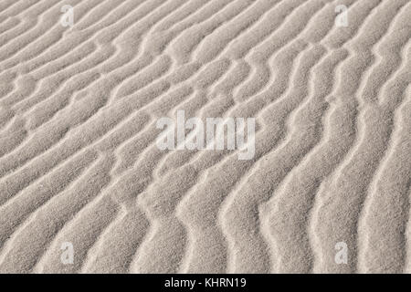 Le vent et le sable sur la surface d'une dune revelaved par une faible lumière du soir Banque D'Images