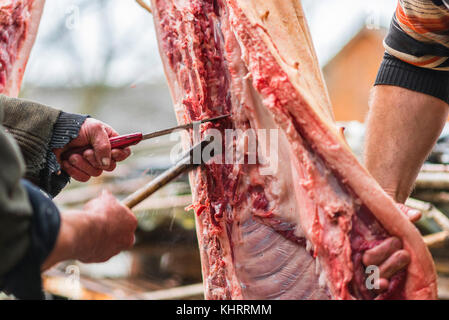 Deux bouchers fine carcasse de porc, l'ouest de l'ukraine Banque D'Images