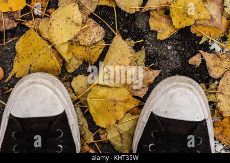 Chaussures de marche sur les feuilles d'automne Banque D'Images
