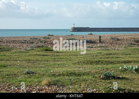 Port et phare de Tide mills à Newhaven Banque D'Images