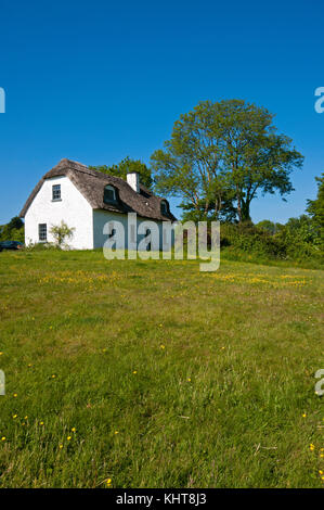 Maison typique avec toit de chaume à Kinvarra, comté de Galway, Irlande Banque D'Images