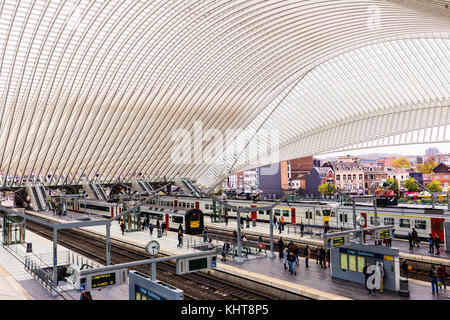 Liège, Belgique - novembre 2017 : LIÈGE-GUILLEMINS gare ferroviaire conçu par le célèbre architecte Santiago Calatrava Banque D'Images