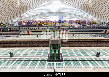 Liège, Belgique - novembre 2017 : train en vu à la gare des Guillemins à Liège conçu par le célèbre architecte Santiago Calatrava Banque D'Images