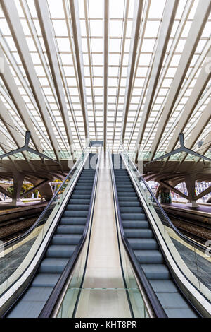 Liège, Belgique - novembre 2017 : vertical escaliers mécaniques à LIÈGE-GUILLEMINS gare conçu par le célèbre architecte Santiago Calatrava Banque D'Images