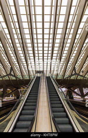 Liège, Belgique - novembre 2017 : vertical escaliers mécaniques à LIÈGE-GUILLEMINS gare conçu par le célèbre architecte Santiago Calatrava Banque D'Images